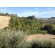 Properties for Sale_La Villa di Franca in Le Marche_16
